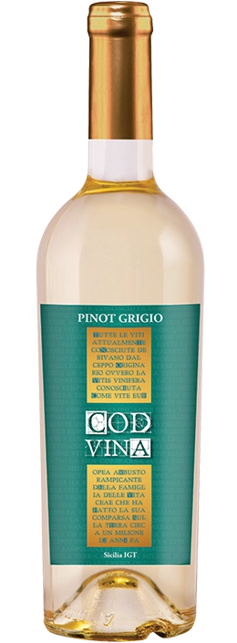 Cod Vina Pinot Grigio IGT